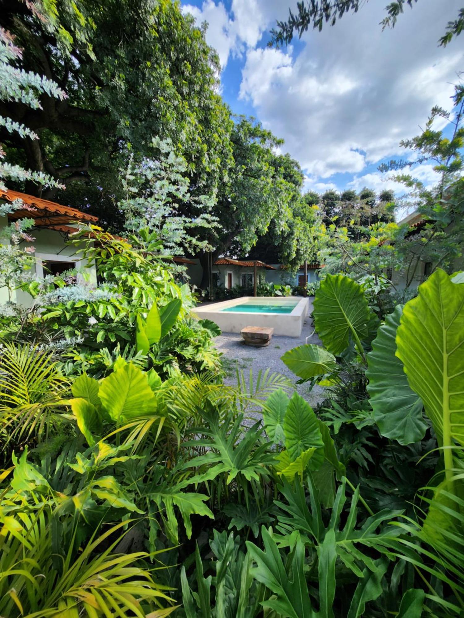 Hotel Boutique Villa Escondida, A Pasos De Lo Mejor En Tlaquepaque Kültér fotó